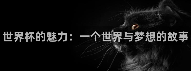 2026 世界杯：世界杯的魅力：一个世界与梦想的故事