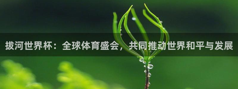 英足总杯直播：拔河世界杯：全球体育盛会，共同推动世界和平与发展