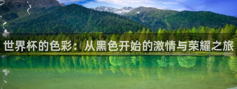 世界杯对阵图2026:世界杯的色彩:从黑色开始的激情与荣耀之旅