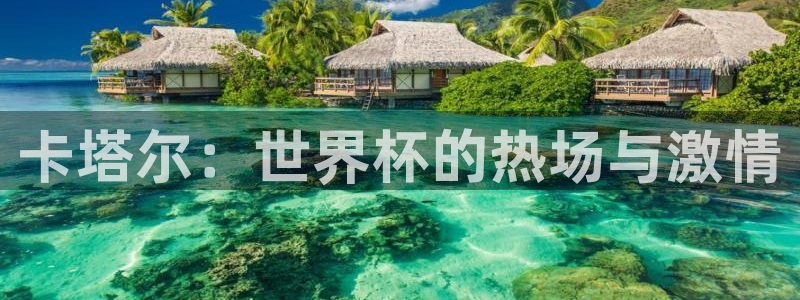 2026世界杯赛程表完整版:卡塔尔:世界杯的热场与激情