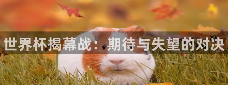 世界杯足球：世界杯揭幕战：期待与失望的对决