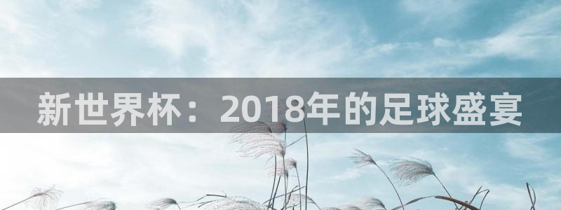 世界杯欧洲预选赛：新世界杯：2018年的足球盛宴