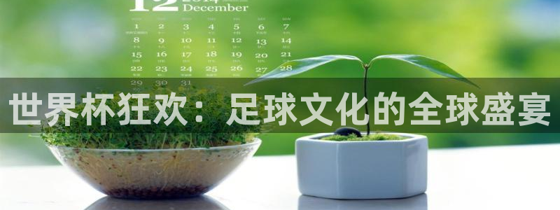 世界杯在线直播入口：世界杯狂欢：足球文化的全球盛宴