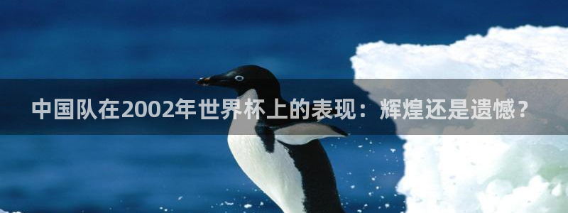 2026世界杯足球赛程时间表：中国队在2002年世界杯上的表现：辉煌还是遗憾？