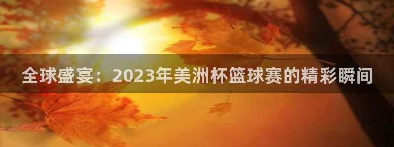 世界杯比赛时间：全球盛宴：2023年美洲杯篮球赛的精彩瞬间