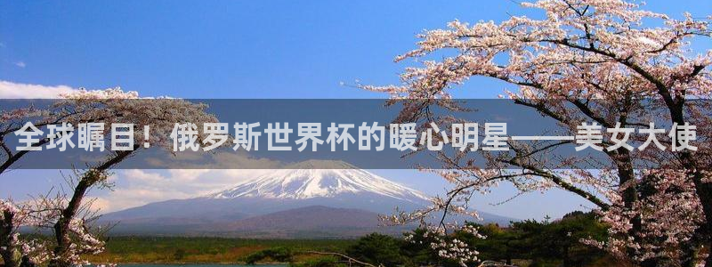世界杯足球2026：全球瞩目！俄罗斯世界杯的暖心明星——美女大使