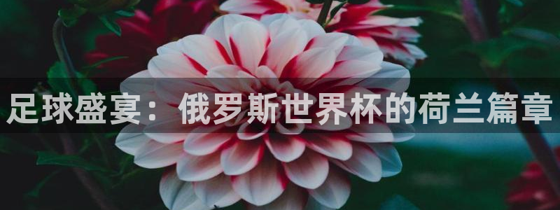 亚洲杯足球：足球盛宴：俄罗斯世界杯的荷兰篇章