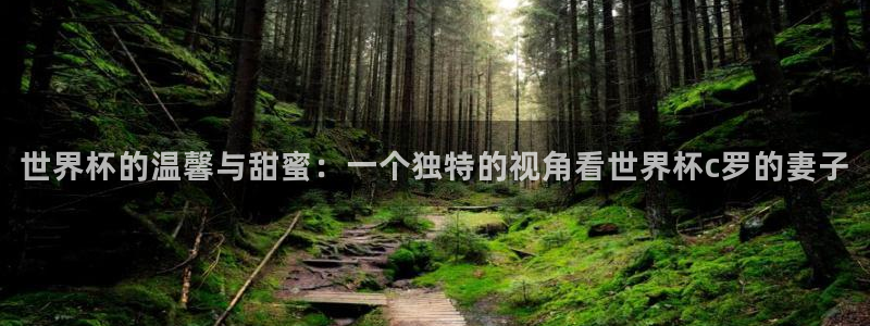 世界杯欧洲预选赛赛程：世界杯的温馨与甜蜜：一个独特的视角看世界杯c罗的妻子