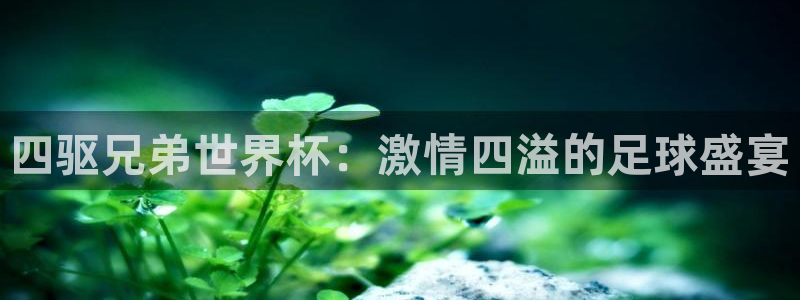 2026世预赛赛程表：四驱兄弟世界杯：激情四溢的足球盛宴