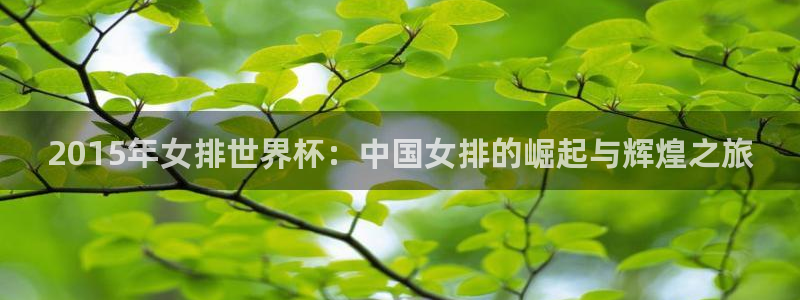 中国 世界杯：2015年女排世界杯：中国女排的崛起与辉煌之旅