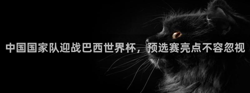 世界杯对阵表：中国国家队迎战巴西世界杯，预选赛亮点不容忽视