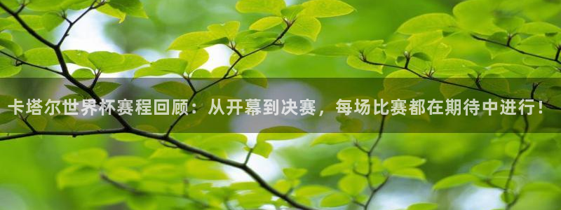世界直播：卡塔尔世界杯赛程回顾：从开幕到决赛，每场比赛都在期待中进行！