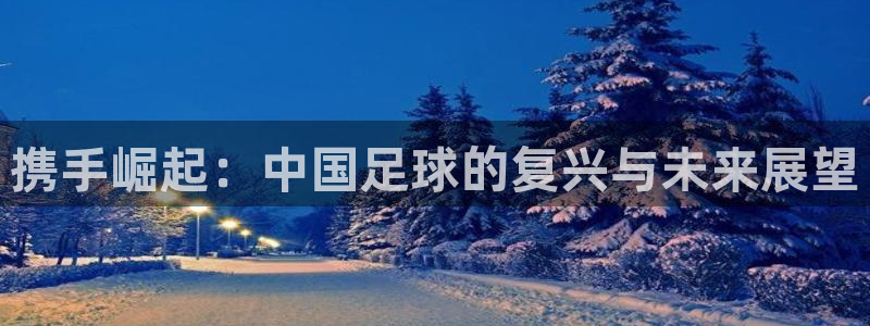 2026世界杯赛：携手崛起：中国足球的复兴与未来展望