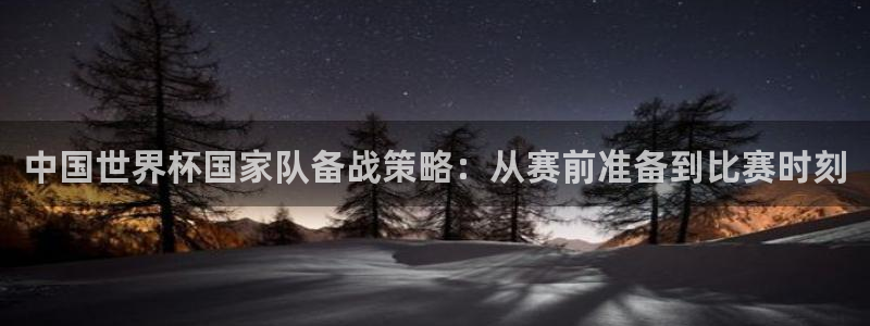 世界杯系列赛：中国世界杯国家队备战策略：从赛前准备到比赛时刻